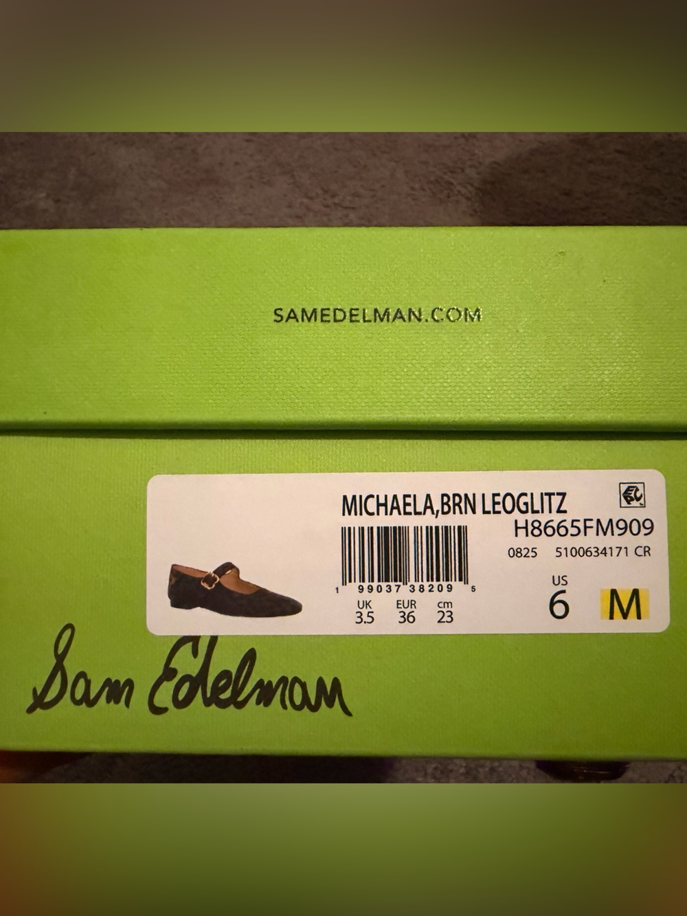 Sam Edelman Brown Shimmery Mary Jane Flats with Gold Buckle - Picture 6 of 6